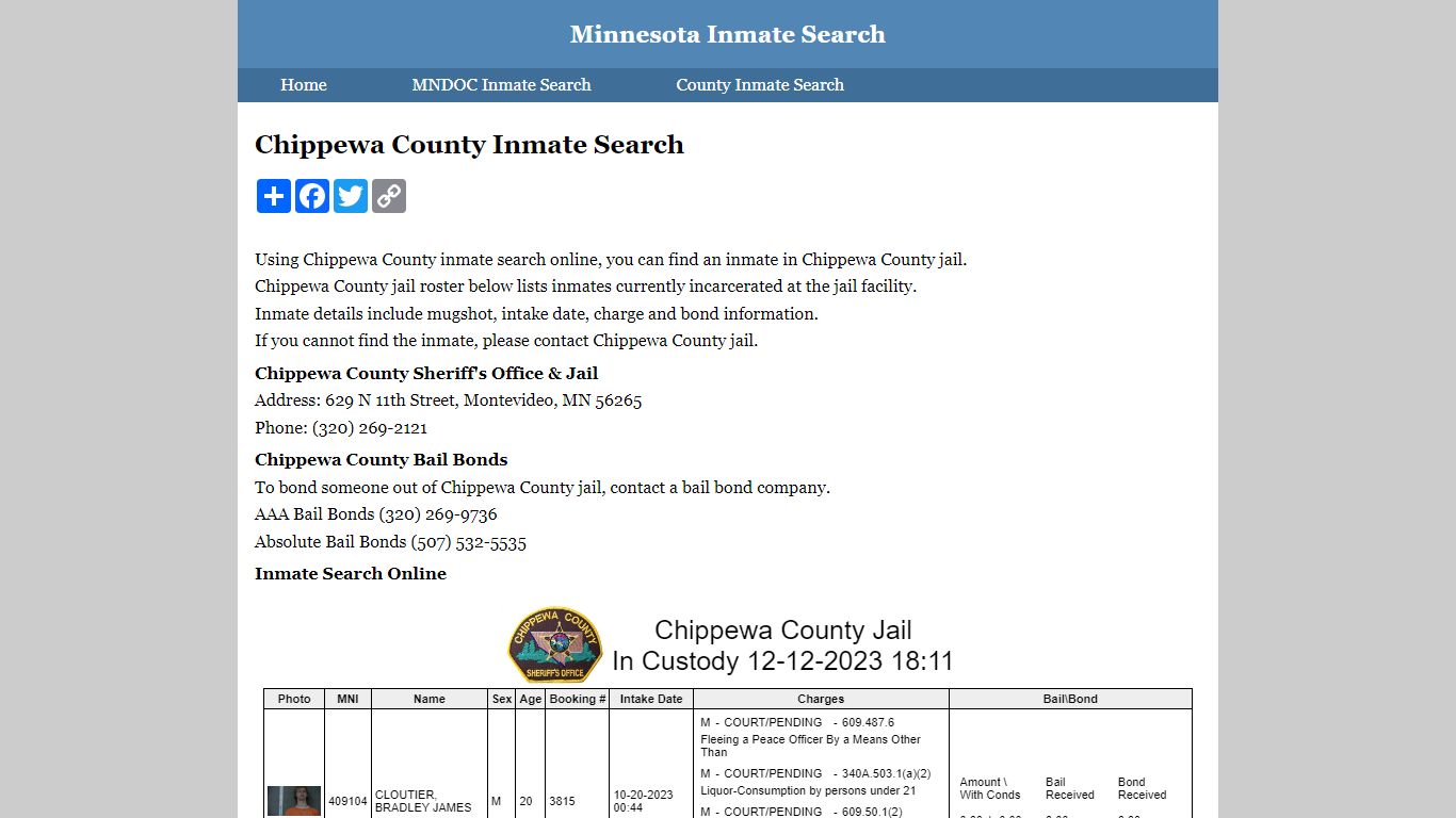 Chippewa County Inmate Search